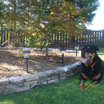 Pet friendly landscape