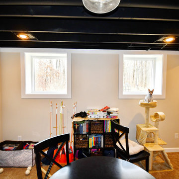 Hinckley Basement Windows