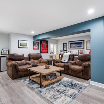 Basement & Fireplace