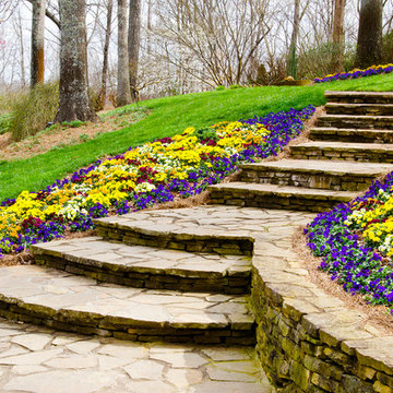 Traditional Landscape