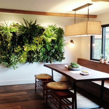 Vertical Gardens