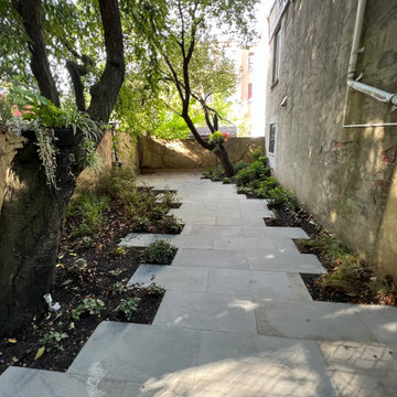 Modern Urban Shade Garden