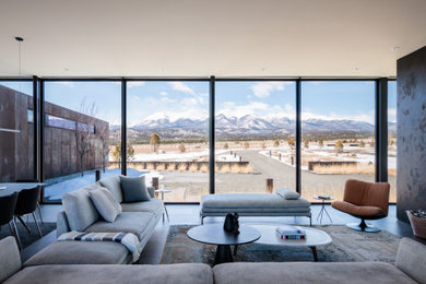 Example of a minimalist living room design in Denver
