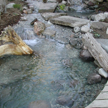 Waterscapes