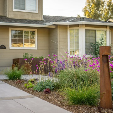 Campbell Front Yard Xeriscape