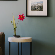 Wall paint colors