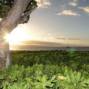 Paul Coates's photo