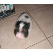 Cindi Perugino's photo
