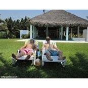 Andrei Gheorghe's photo
