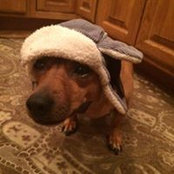 Jodi Cornman's photo