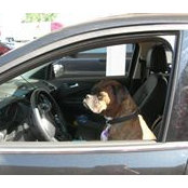 Deb Yingling's photo
