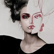 Yifan Fengさんの写真