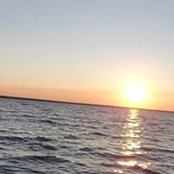 denis vermette's photo
