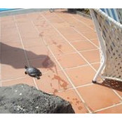 Maureen Kavanagh's photo