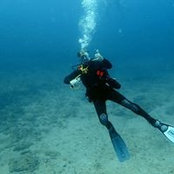 Mark Ciesielski's photo