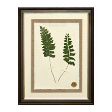 Deco