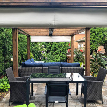 Kissing Canopies, Mississauga