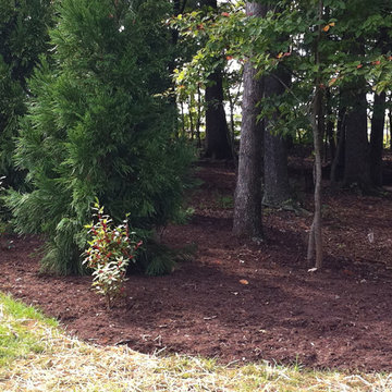 Northern Albemarle County, VA:  Deer Out, People & Plants In