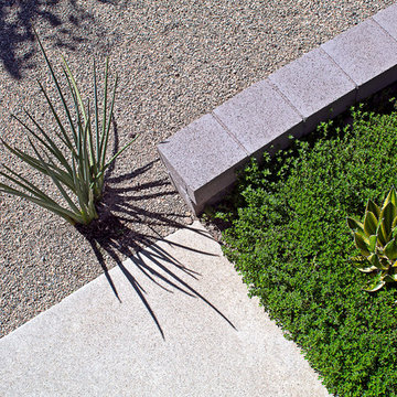 New 1-Year-Old Garden