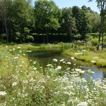 Millerton Retreat: Pond