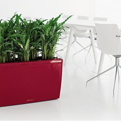 Modern Planter - Products