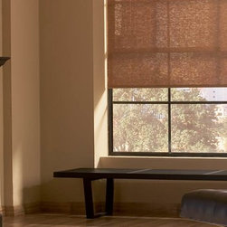 Hunter Douglas Designer Roller Shades - Roller Shades