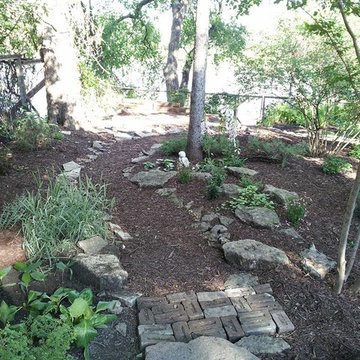 Scotia Street low-maintenance shaded yard