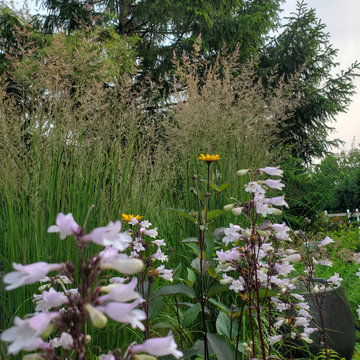 The Immersive Garden