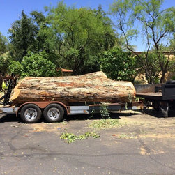 Live edge slabs - Building Materials