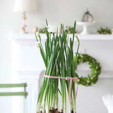 DECORATING