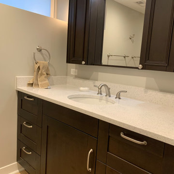 Remodeled Basement Bathroom/SPA