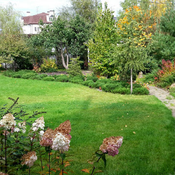 Сад на краю деревни.