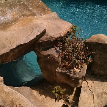 Backyard pool resort