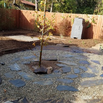 Backyard Altadena Re-design/Simple Clean-up