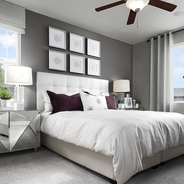 Amethyst model home in Colorado