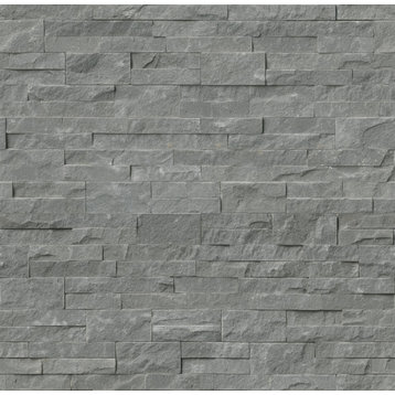 Mountain Bluestone 6X24 Splitface Ledger Panel, (4x4 or 6x6) Sample
