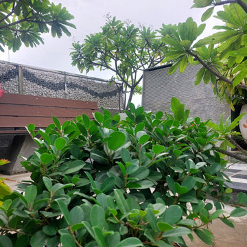 An Alley of Dichotomy