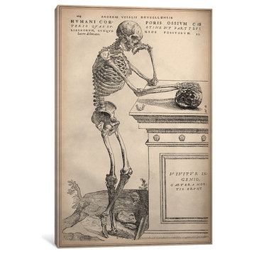 "De Humani Corporis Fabrica Skeleton Standing" Wrapped Canvas Print, 26x18x1.5