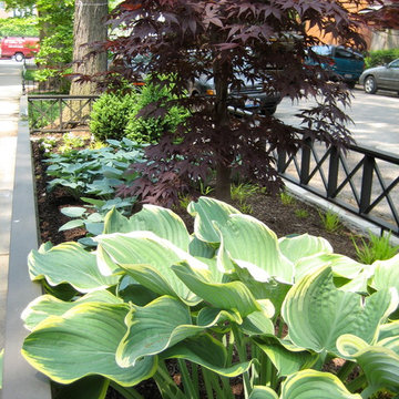 Lincoln Park