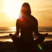 Donna Collins's photo