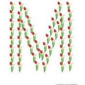 Manal ElSolh's photo