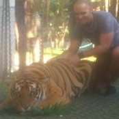Amit Sethi's photo