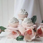 Amy Coe's photo