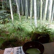 Susan Kirwin's photo