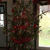 Donna Howard's photo