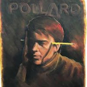 David Pollardさんの写真