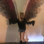 Dawn Lindeman's photo