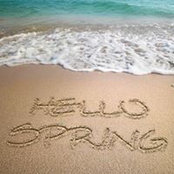 Donna Bumba's photo