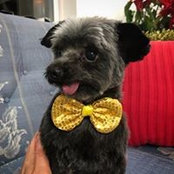 Foto de Sara Mambo
