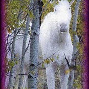 Kathy Seals's photo